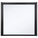  Coaster Furniture Leandro 222494 Dresser Mirror - Burnished Black IMAGE 2