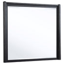  Coaster Furniture Leandro 222494 Dresser Mirror - Burnished Black IMAGE 3