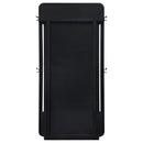  Coaster Furniture Leandro 222498 76-inch Full Length Floor Mirror - Burnished Black IMAGE 6