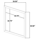 Coaster Furniture Arielle 223114 Dresser Mirror - Light Oak IMAGE 1
