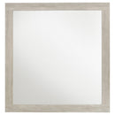  Coaster Furniture Trenton 225064 Dresser Mirror - Rustic Cream IMAGE 3