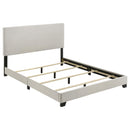  Coaster Furniture Dorian 300852Q Fabric Upholstered Queen Panel Bed - Cream IMAGE 2