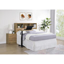  Coaster Furniture Westpark 315901Q 49-inch Queen Bookcase Headboard - Mango IMAGE 8