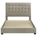  Coaster Furniture Medley 315911TANQ Genuine Leather Queen Panel Platform Bed - Tan IMAGE 3