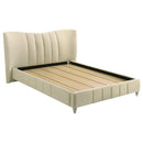  Coaster Furniture Evelyn 315956Q Upholstered Queen Panel Platform Bed - Ivory IMAGE 3