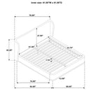  Coaster Furniture Blaire 315967BLKQ Upholstered Queen Wingback Platform Bed - Black IMAGE 11