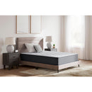  Ashley Sleep Anniversary Edition Plush M42131 Queen Mattress IMAGE 2